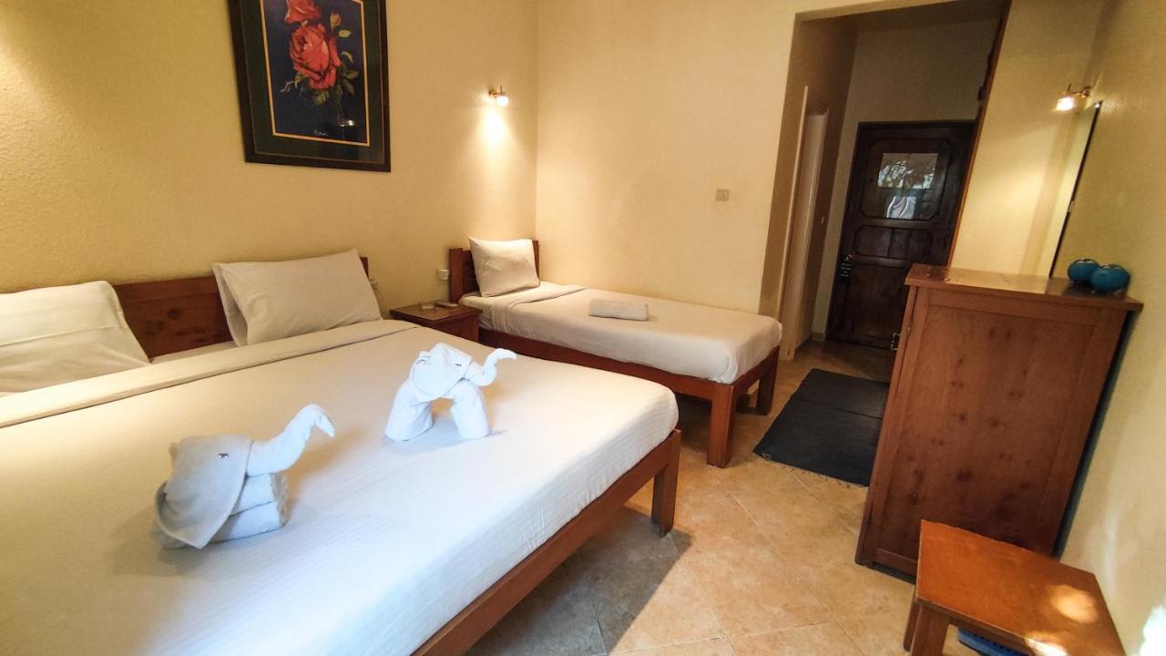 Ladybird - Golden Europe 3* Dahab